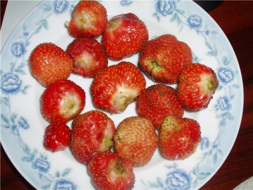 Фото ягоды земляники садовой (клубника) Королева Елизавета II